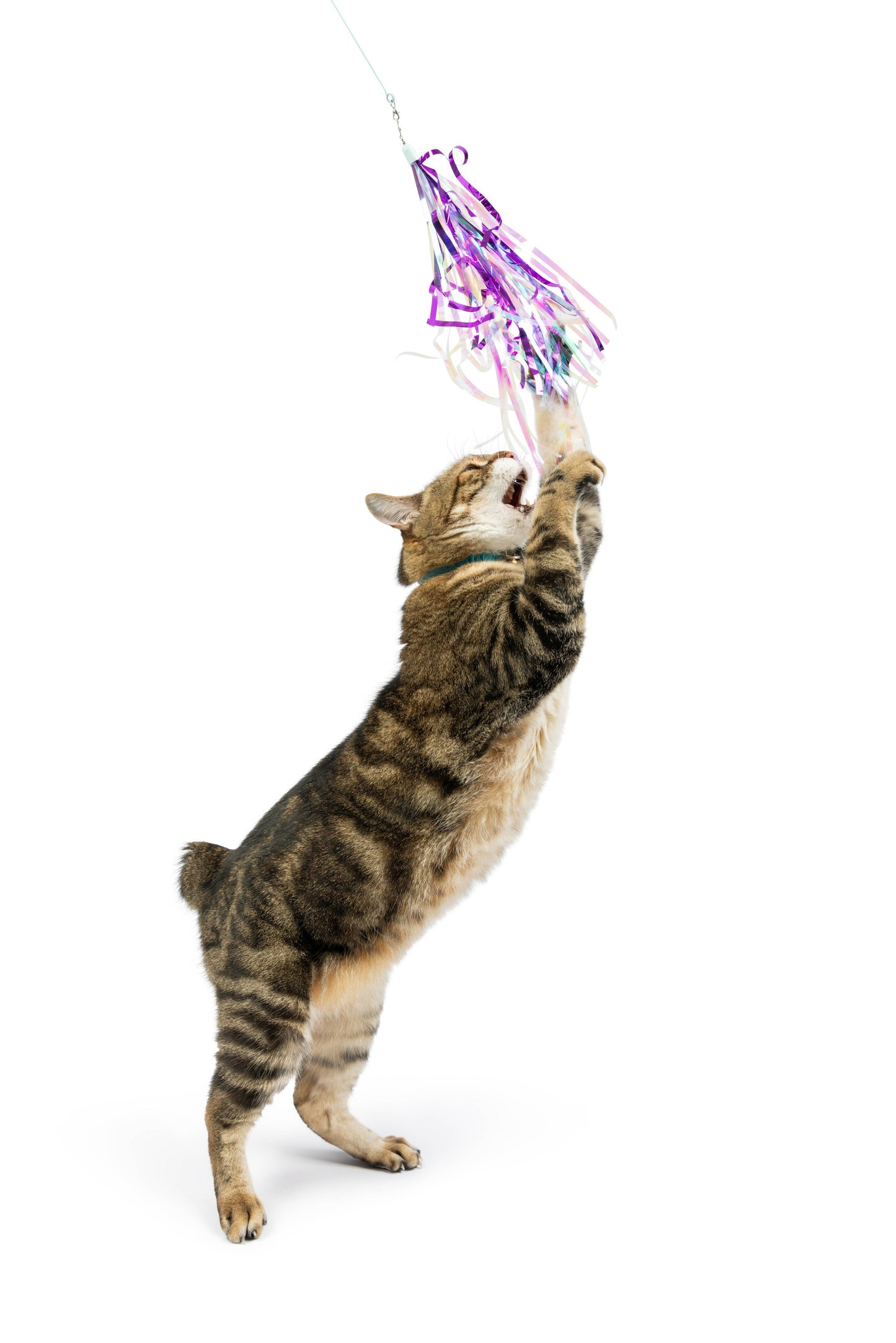 Dragonfly Streamers 2pk Refill Cat Toy