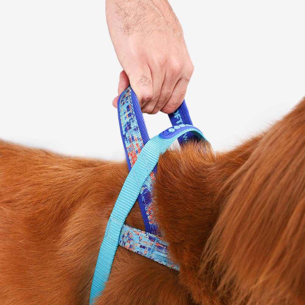 Error #404 | SofterWalk Harness