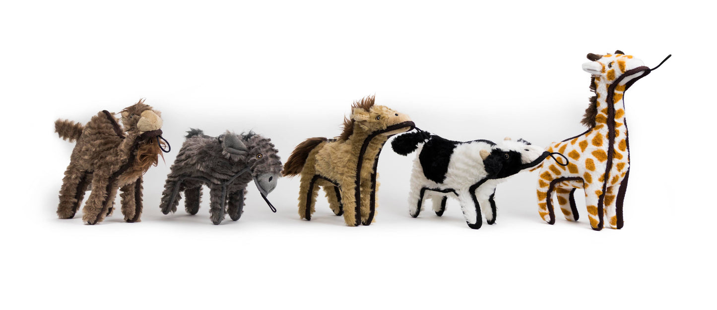 Ruffian Hoofer Donkey