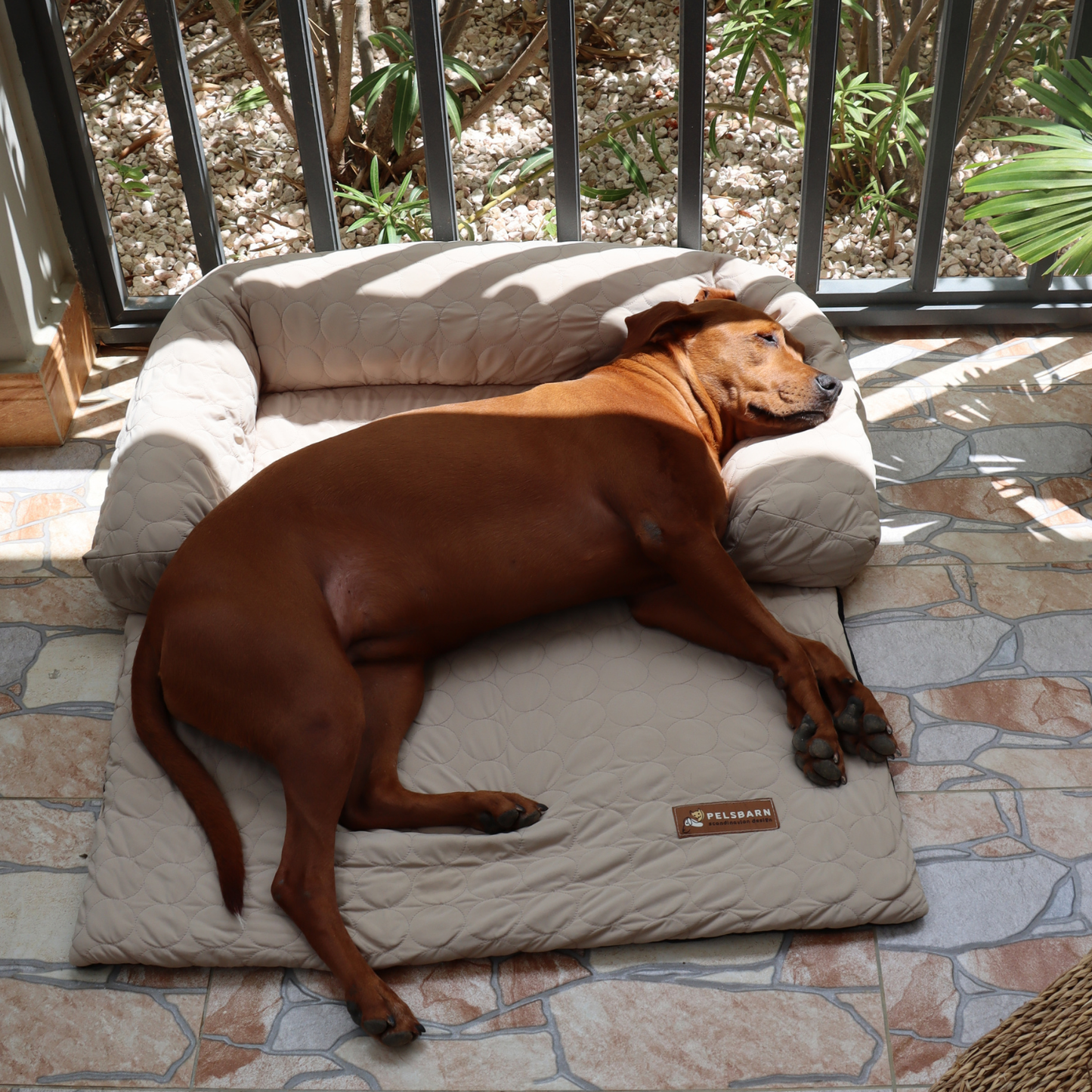 Cooling Dog Bed Heat Relief - Pelsbarn