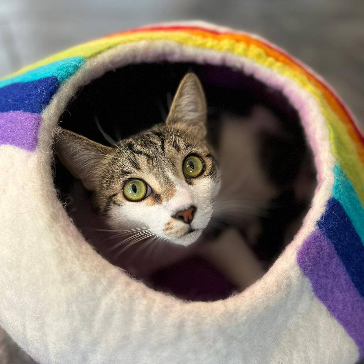 Rainbow Eco Kitty Cave - Cat Cave