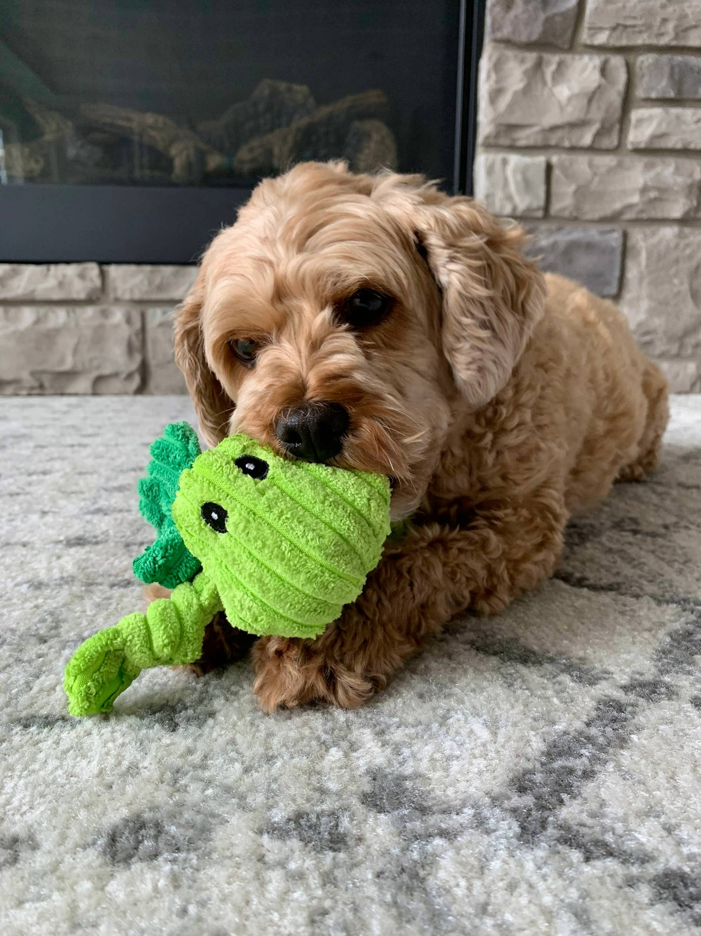Hopper, Winged Grasshopper, Corduroy Squeaker Dog Toy