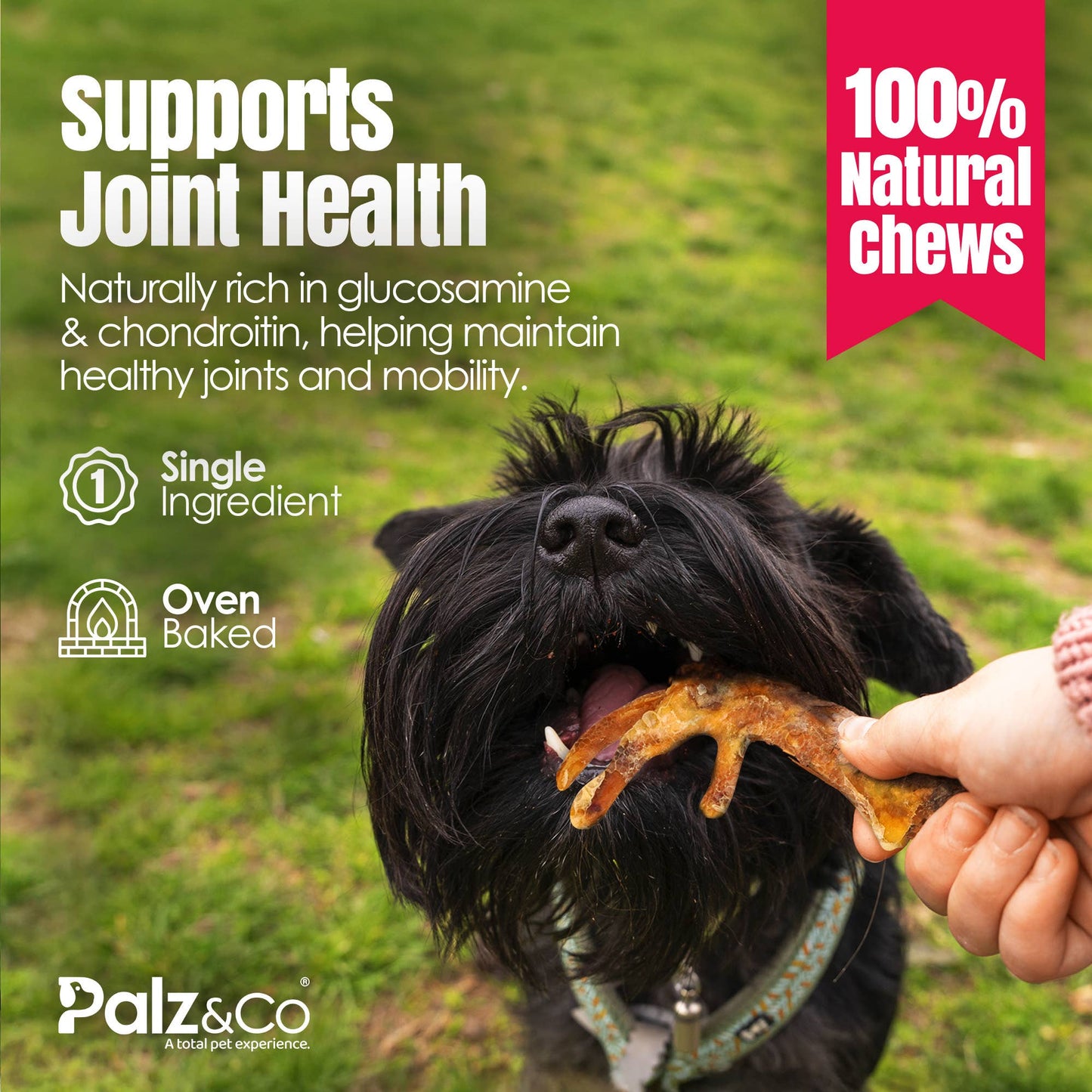 Birddog Chicken Feet Dog Treats