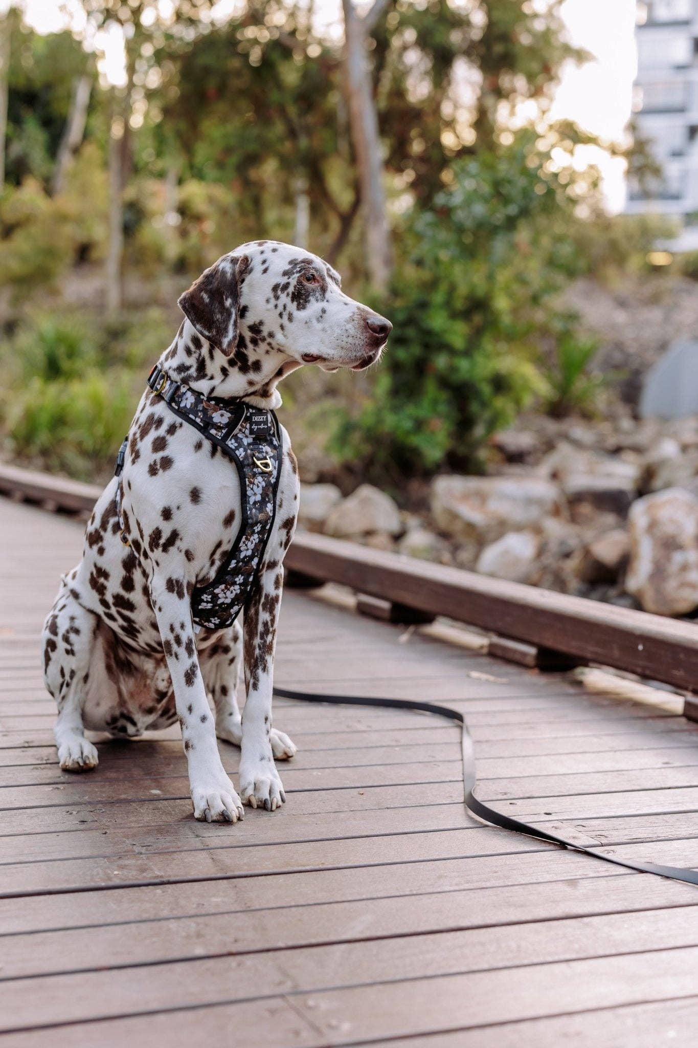 No Pull Dog Harness | Step in | Reflective | Heavy Duty | Easy Reach Handle | Midnight Cherry Blossoms