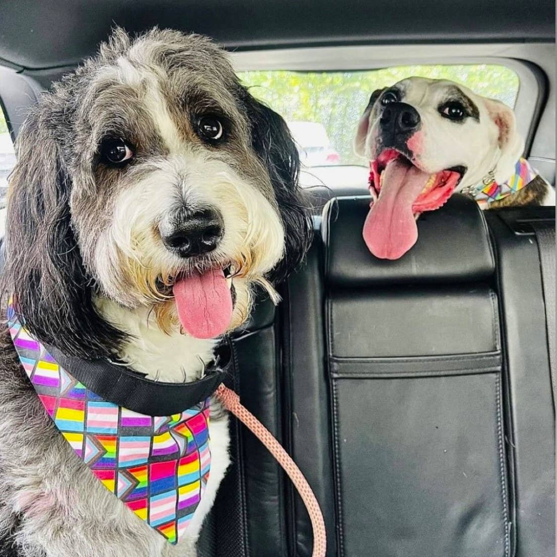 Pride Flags RUFFLECT® Dog Bandana