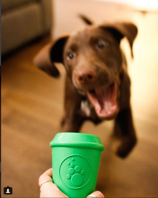 SP Coffee Cup Durable Rubber Chew Toy and Treat Dispenser