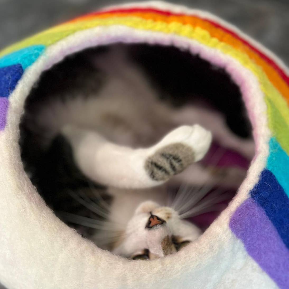 Rainbow Eco Kitty Cave - Cat Cave