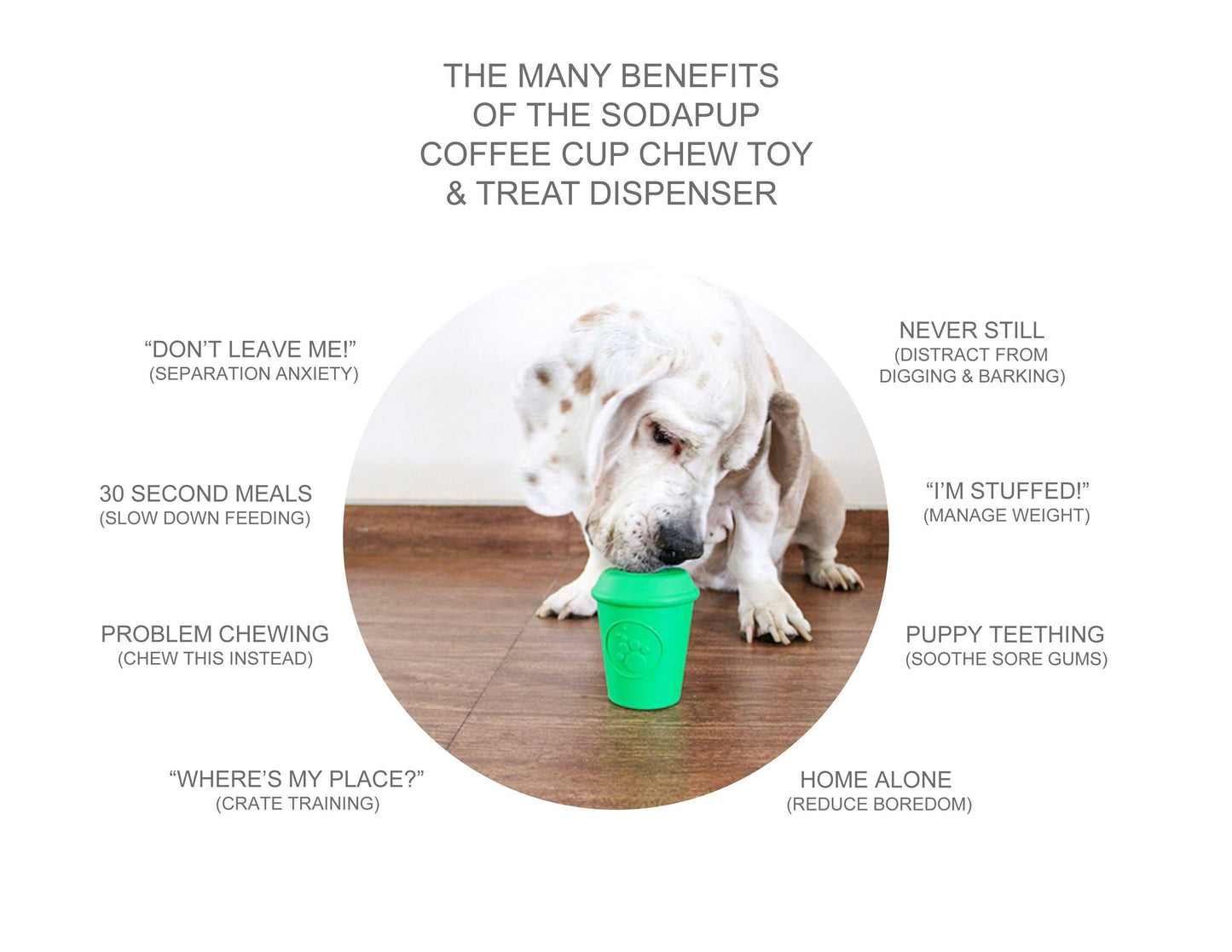 SP Coffee Cup Durable Rubber Chew Toy and Treat Dispenser