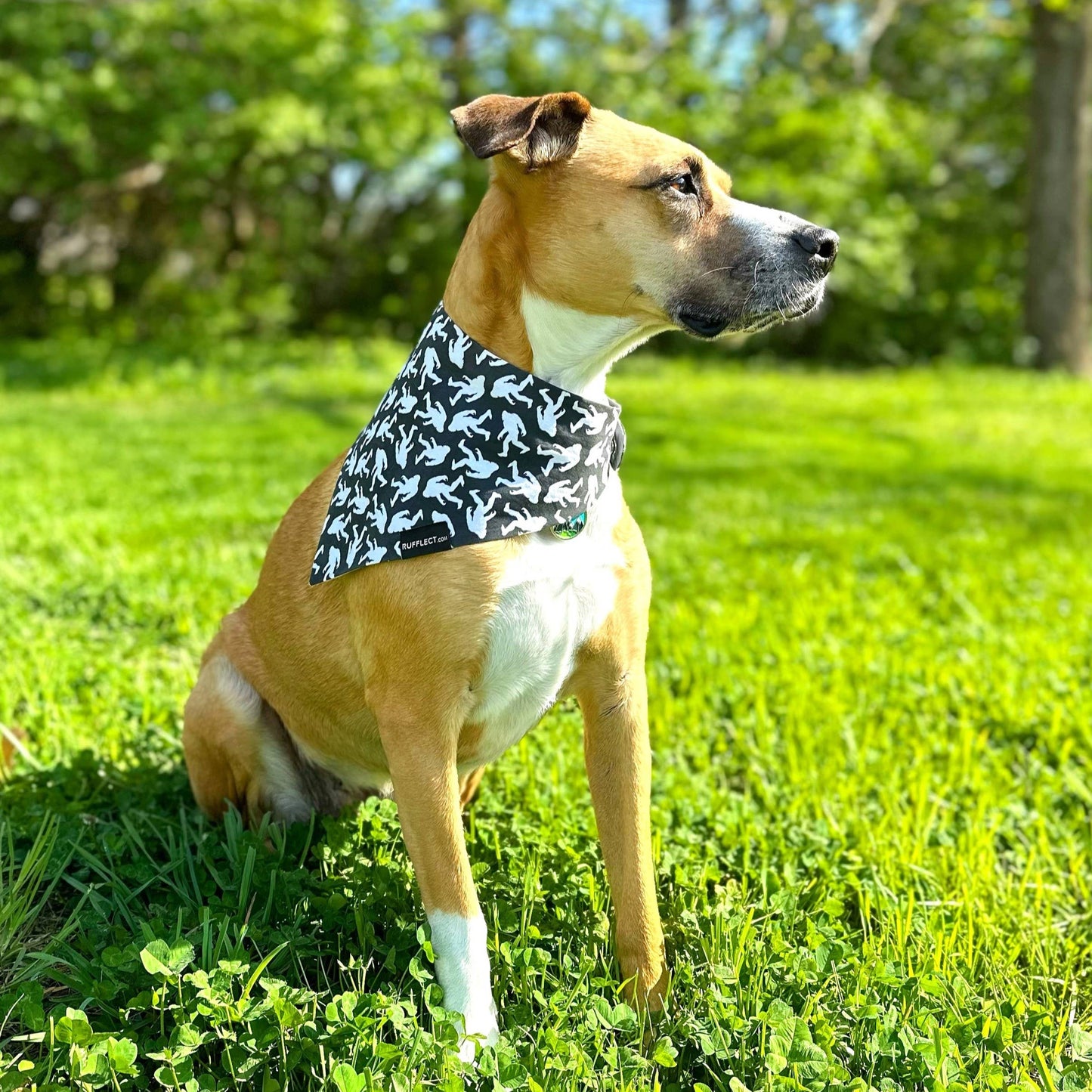 Sasquatch RUFFLECT® Dog Bandana