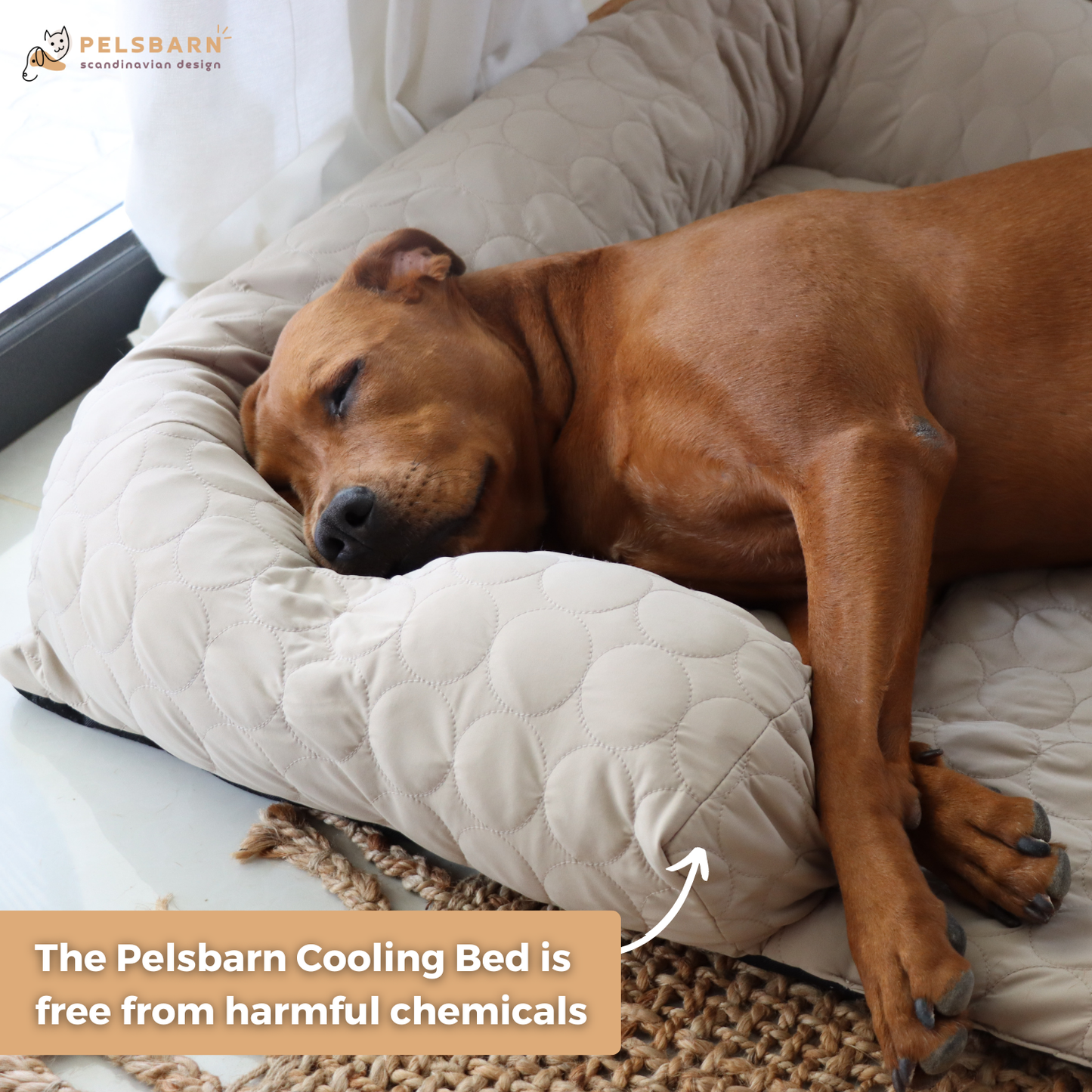 Cooling Dog Bed Heat Relief - Pelsbarn