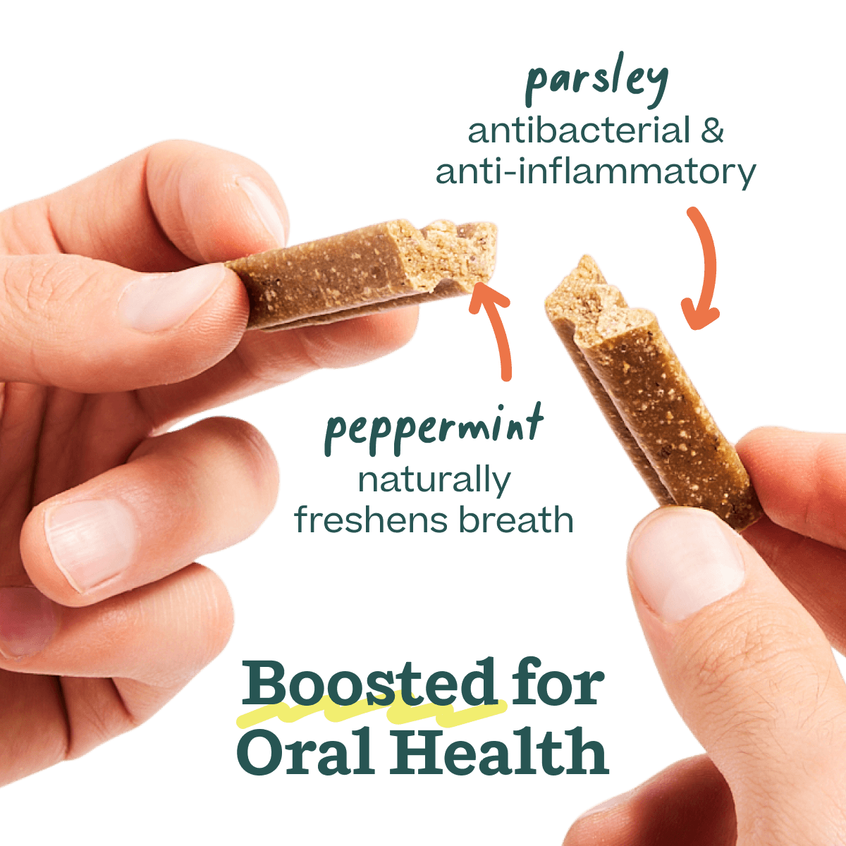 Bite n' Brush Dental Refills