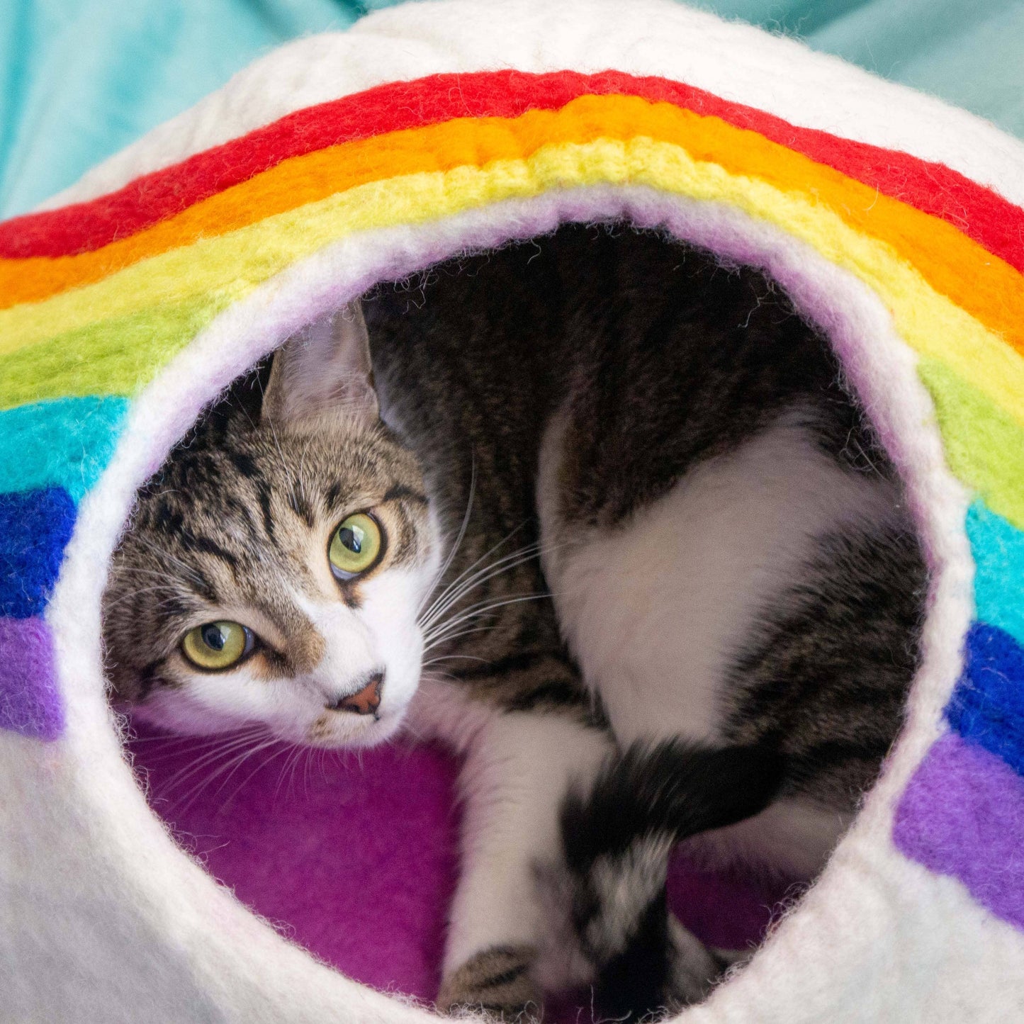Rainbow Eco Kitty Cave - Cat Cave