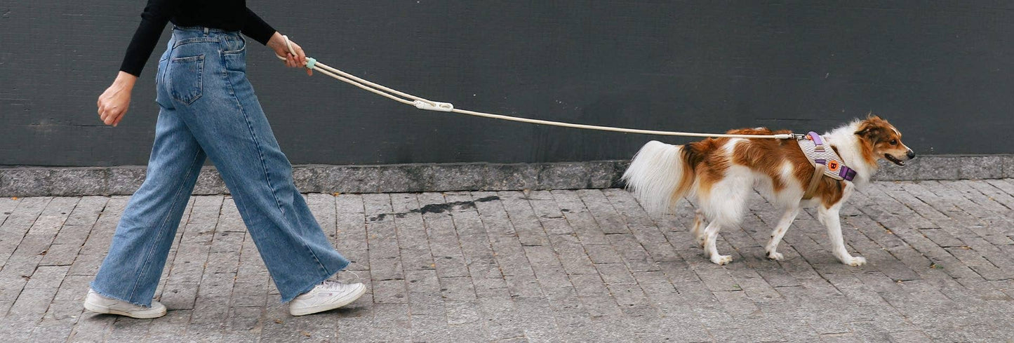 Single Walk