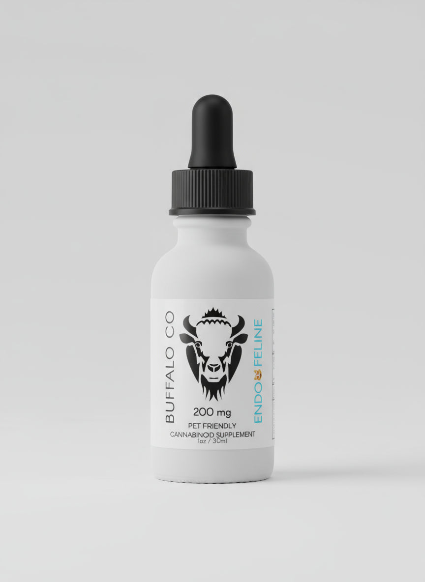 Bottle of liquid on a laptop with a colorful chair and wooden floor in the background