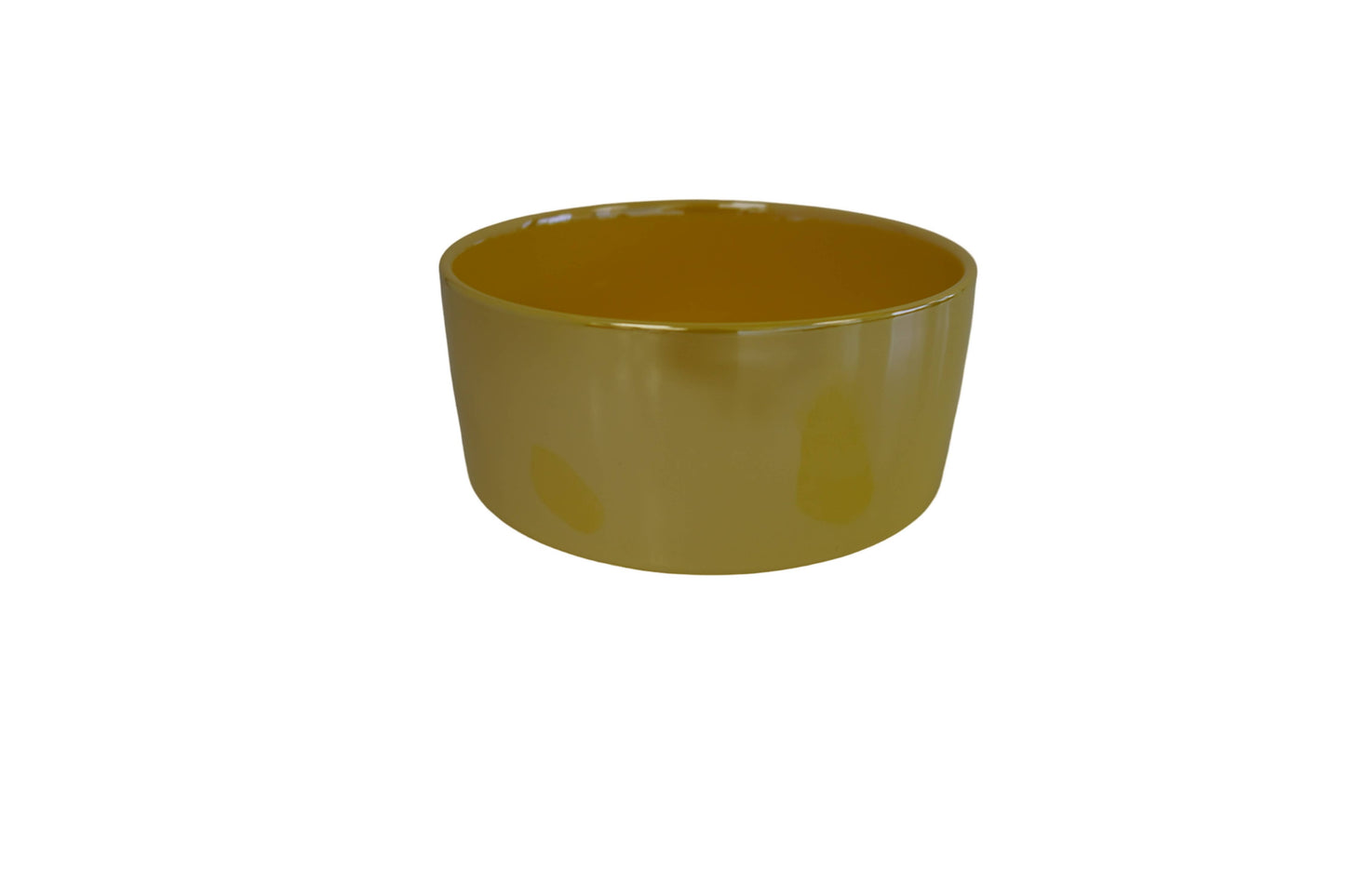 Ceramic Dog Bowl