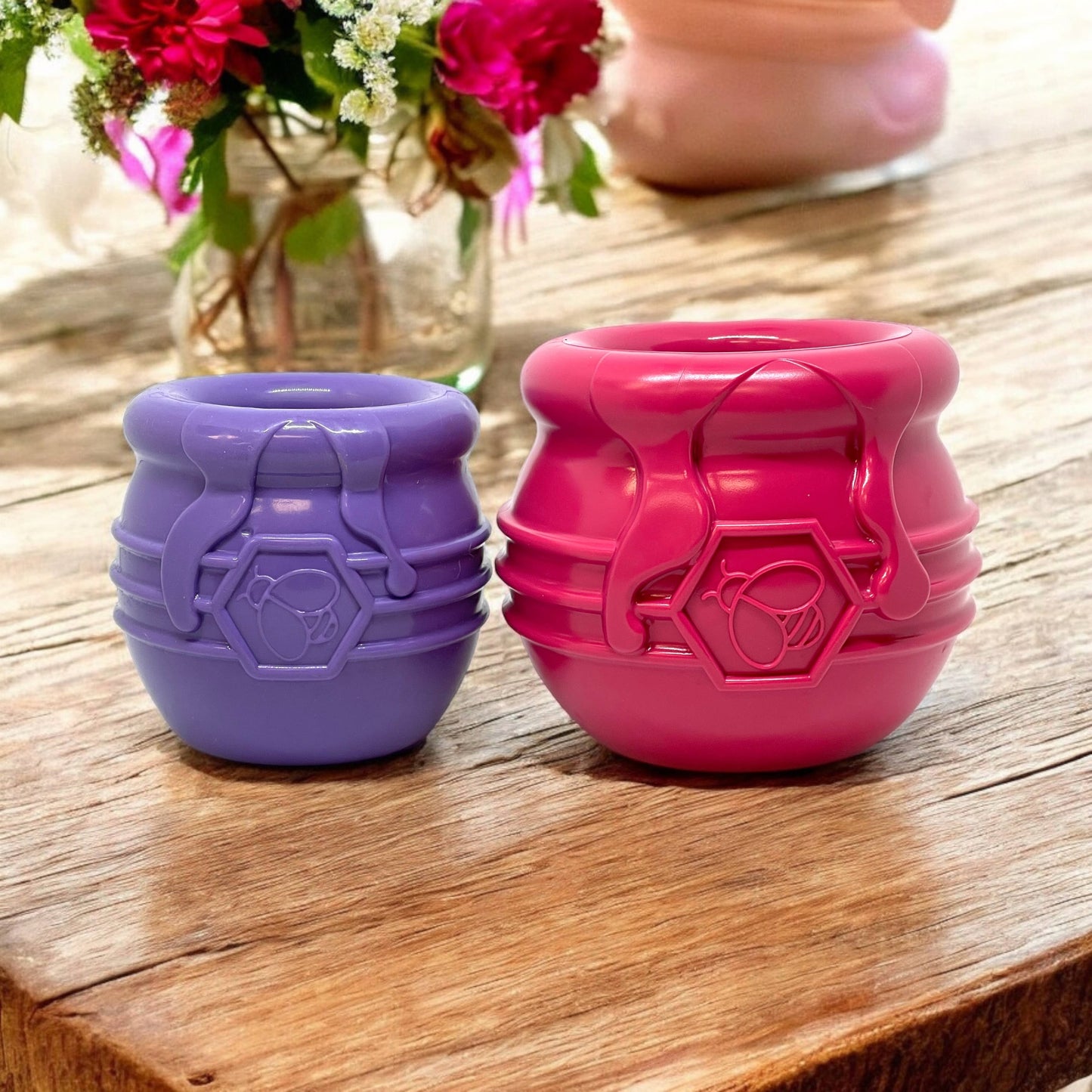 PUP-X Honey Pot Treat Dispenser