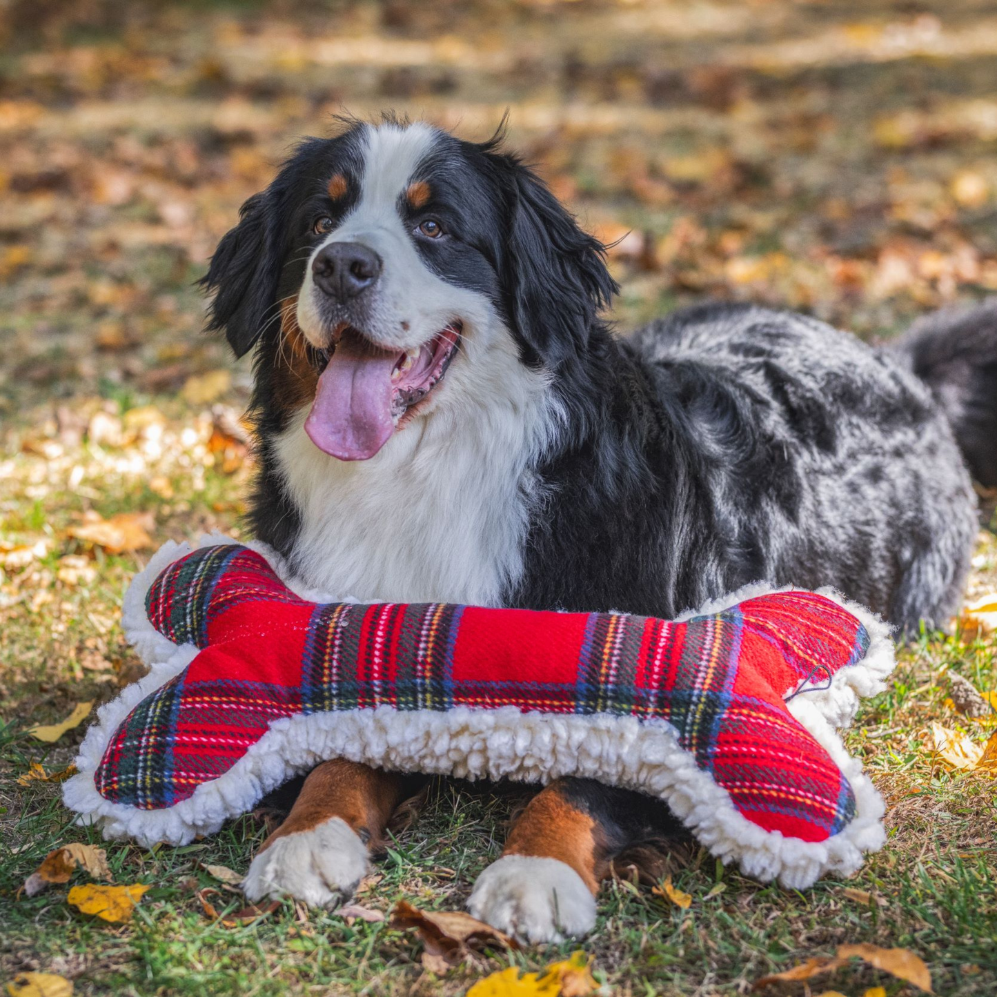 Tartan Tidings Collection HuggleFleece® Bone