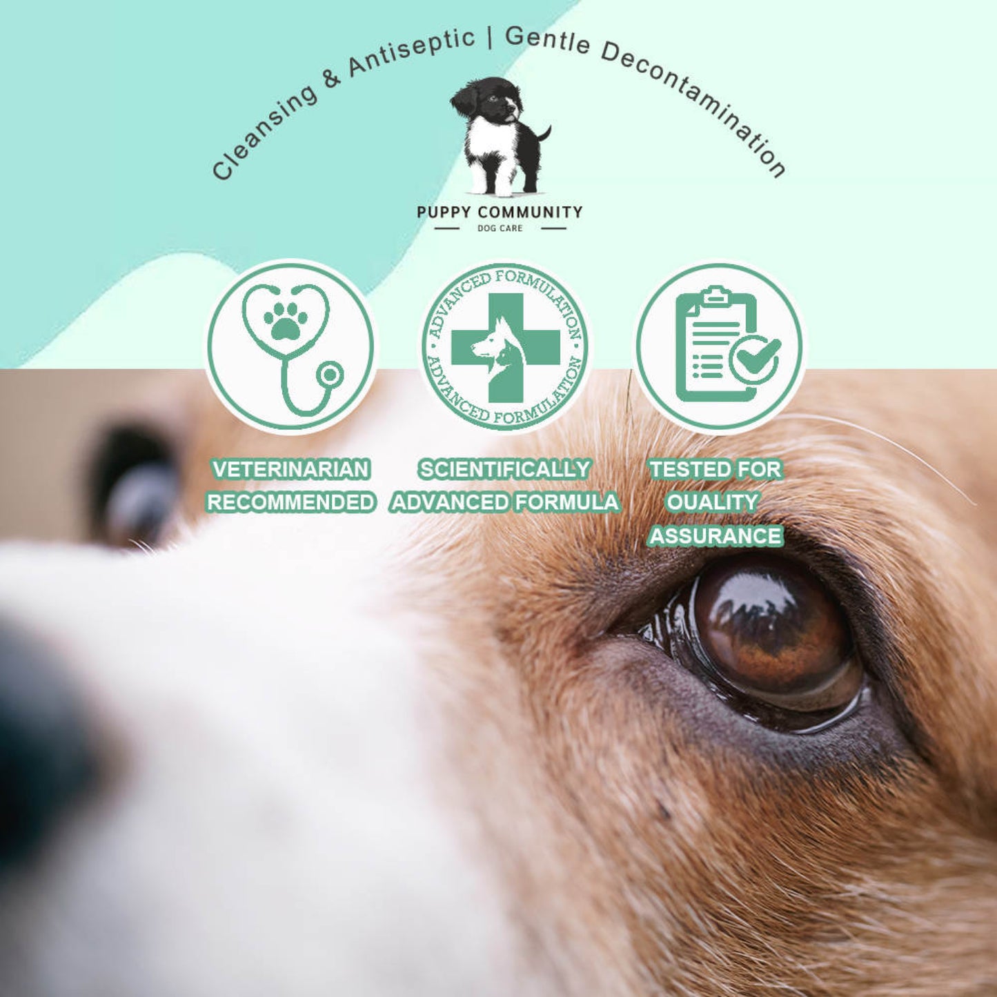 Dog Eye Wipes by Puppy Community