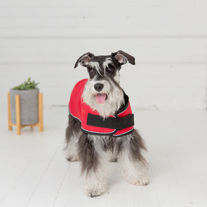 GF Pet Dog Blanket Jacket