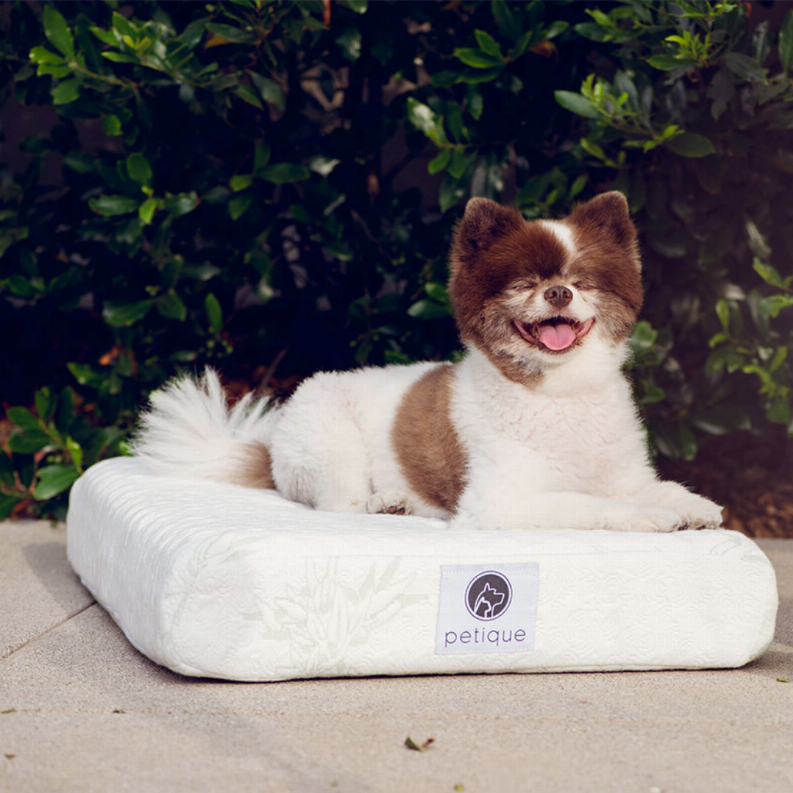 Bamboo Memory Foam Dog Bed by Petique