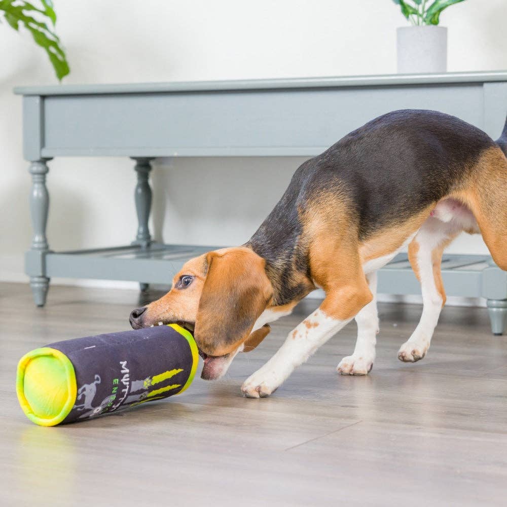 A puppy playing with a plush toy and training treats from Puppy Community.