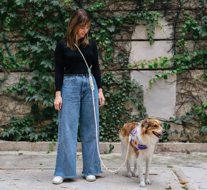 A dog with leash and colorful harnesses walking to Puppy Community.