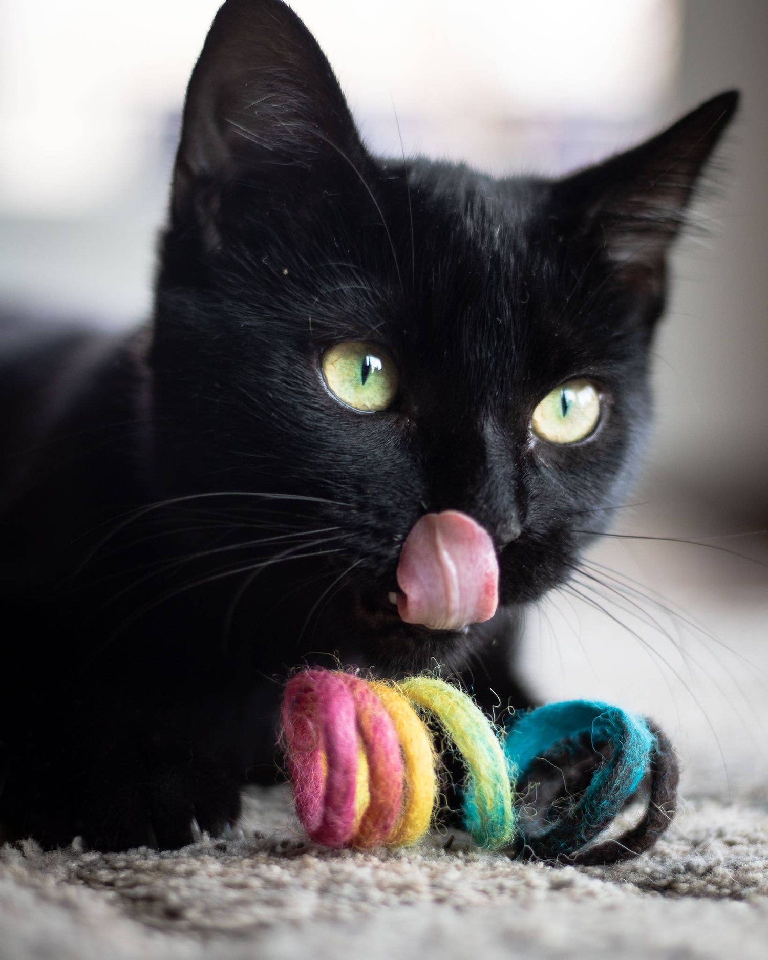 Close up of colorful felt catnip toys and organic cat treats for kittens and adult cats.