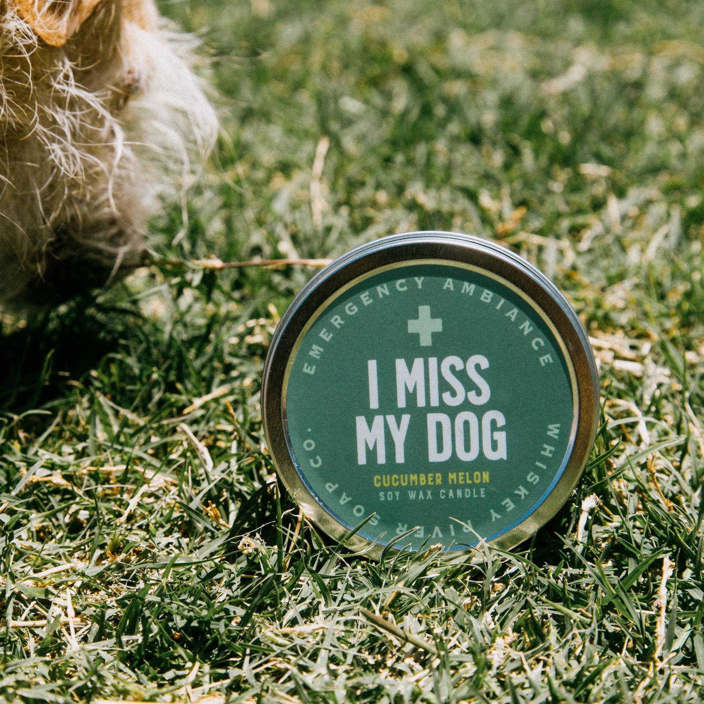 I Miss My Dog Emergency Ambiance Travel Tin | Funny Candle