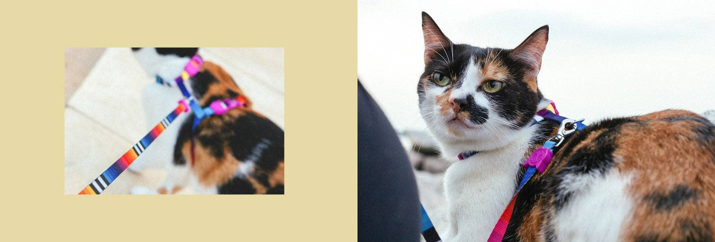 Prisma | Cat Harness with Leash