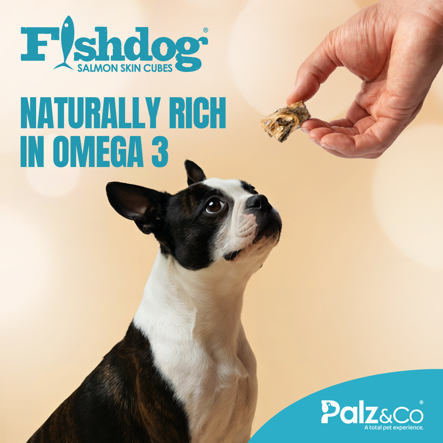 Fishdog Salmon Skin Cube - 2.5 oz (70g)