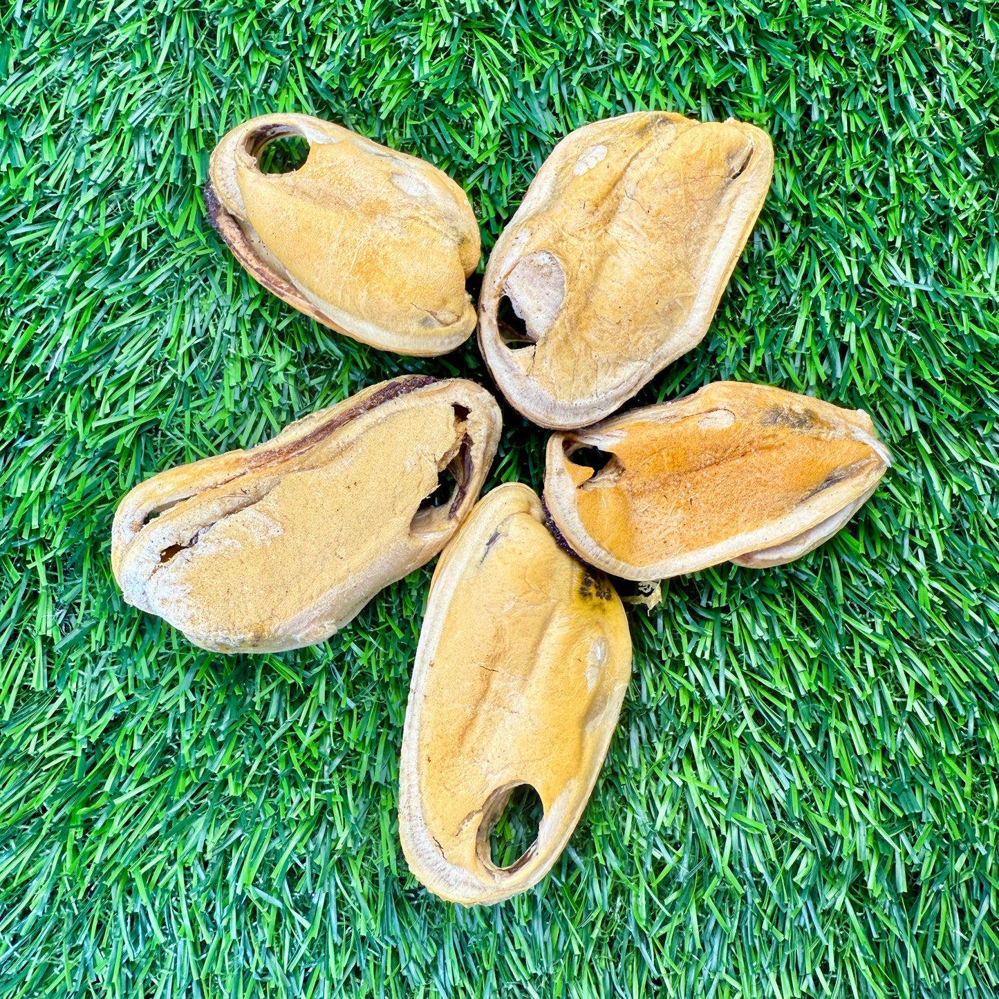 New Zealand Green-Lipped Mussel - Freeze-Dried