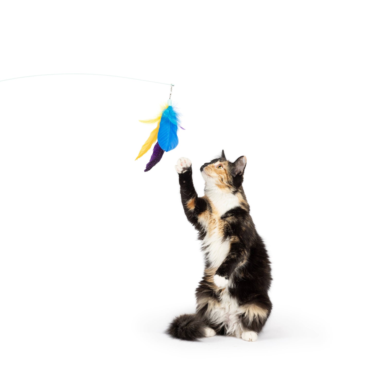 Purple Fishy Feather Teasers 2pk Refill Cat Toy