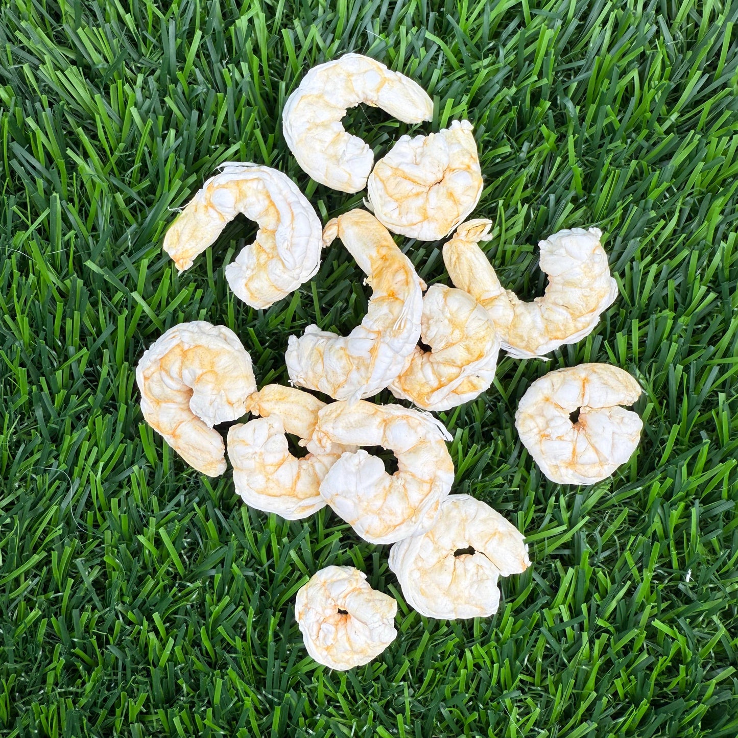 Baby Shrimp - Freeze Dried Treats for Dogs & Cats