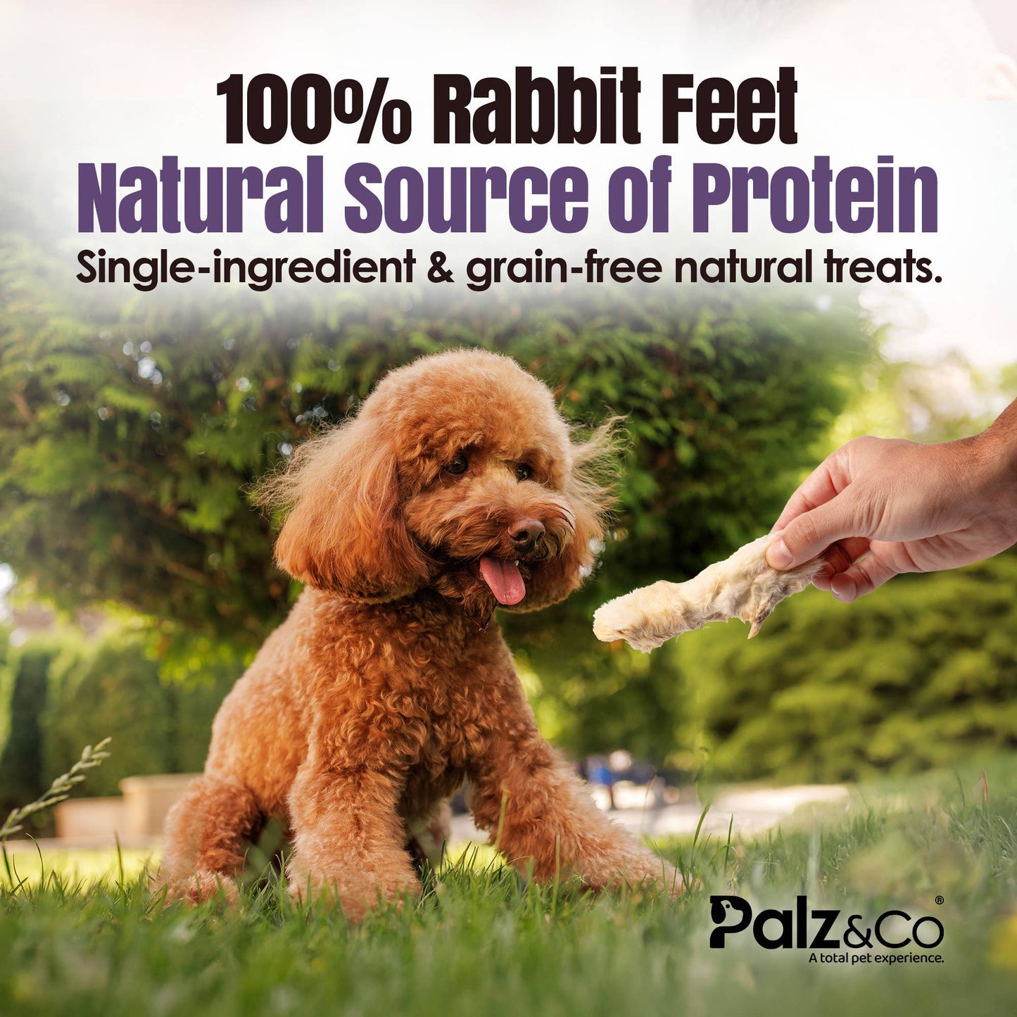 Rabbitdog Rabbit Feet with Fur - 100g