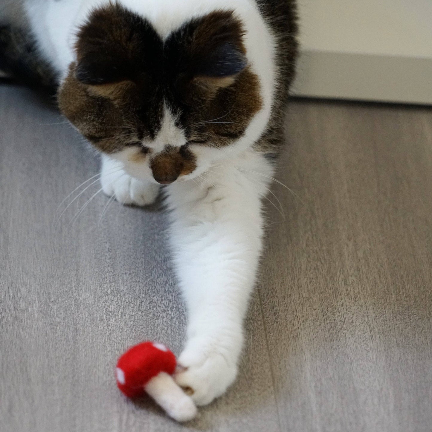 Handmade Wool Felt Cat Toy Set –Paws