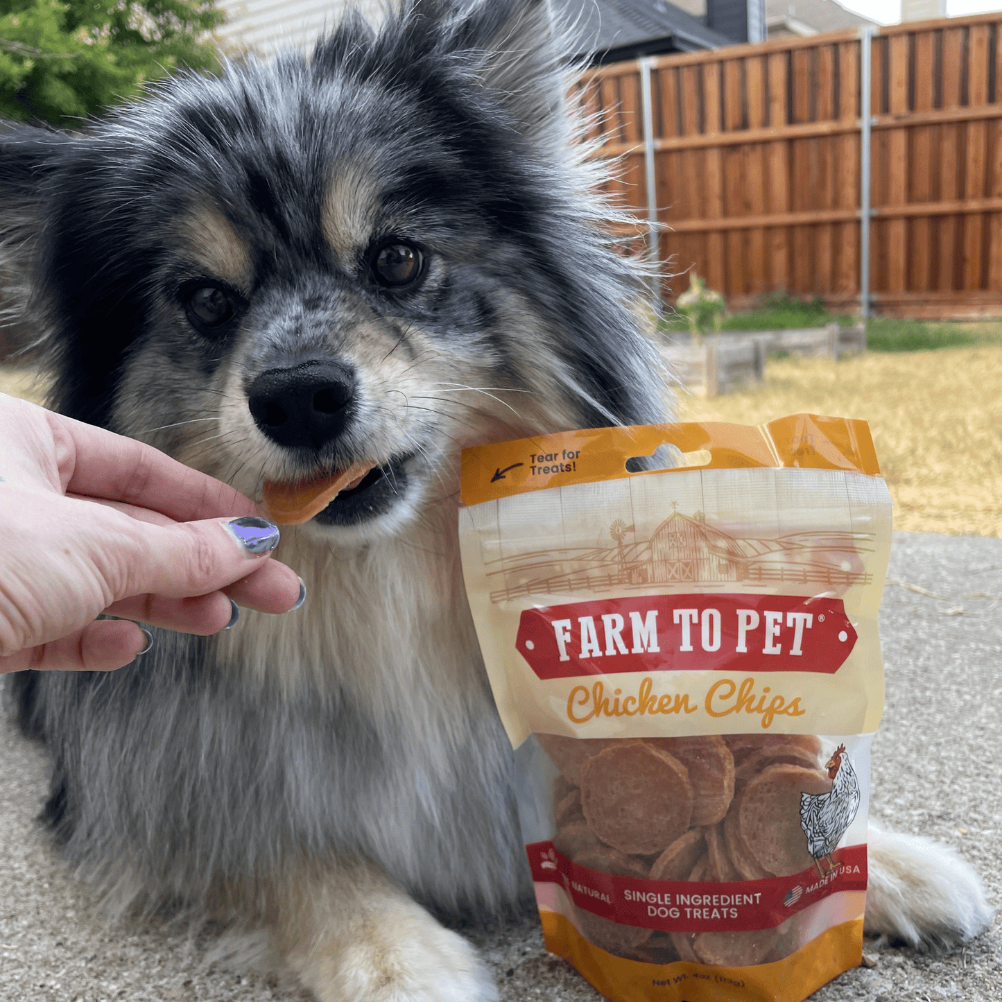 Chicken Chips Dog Treats