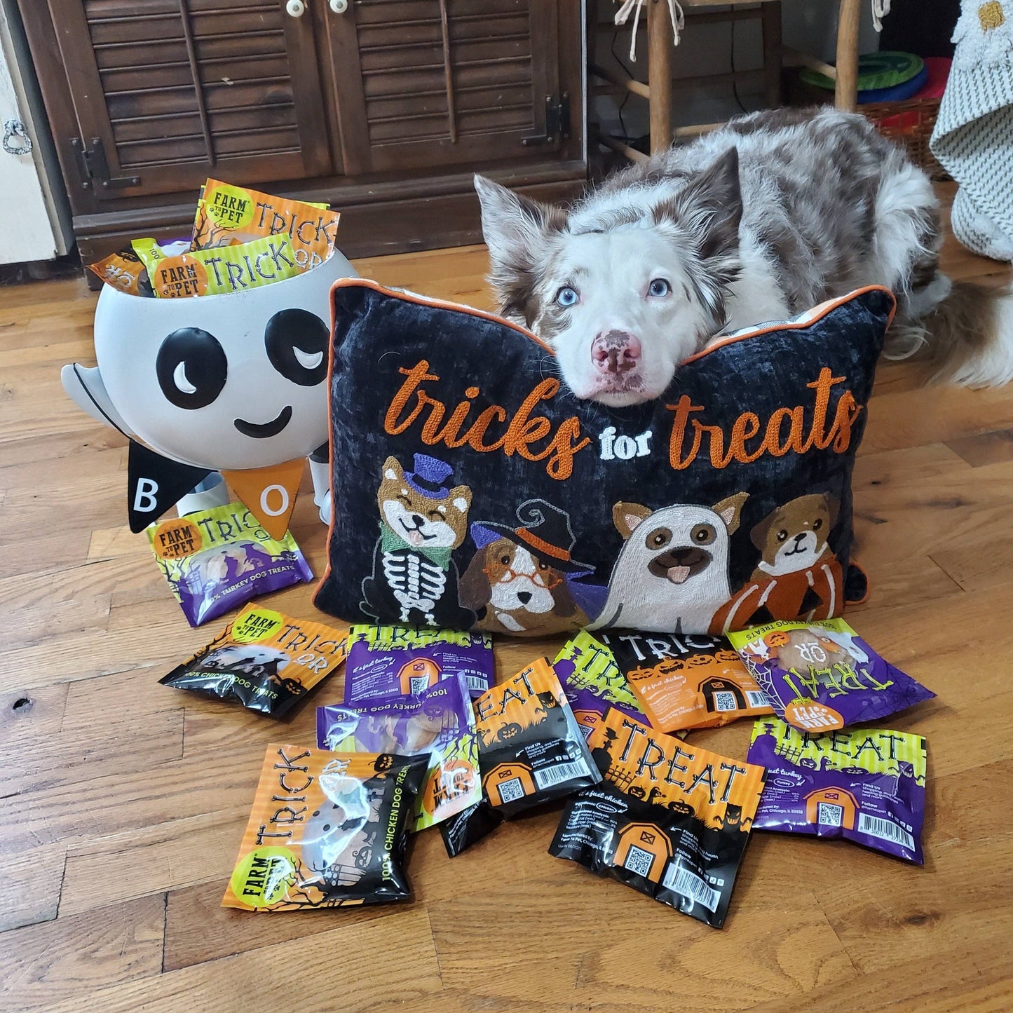 Halloween Dog Treat Snack Pack