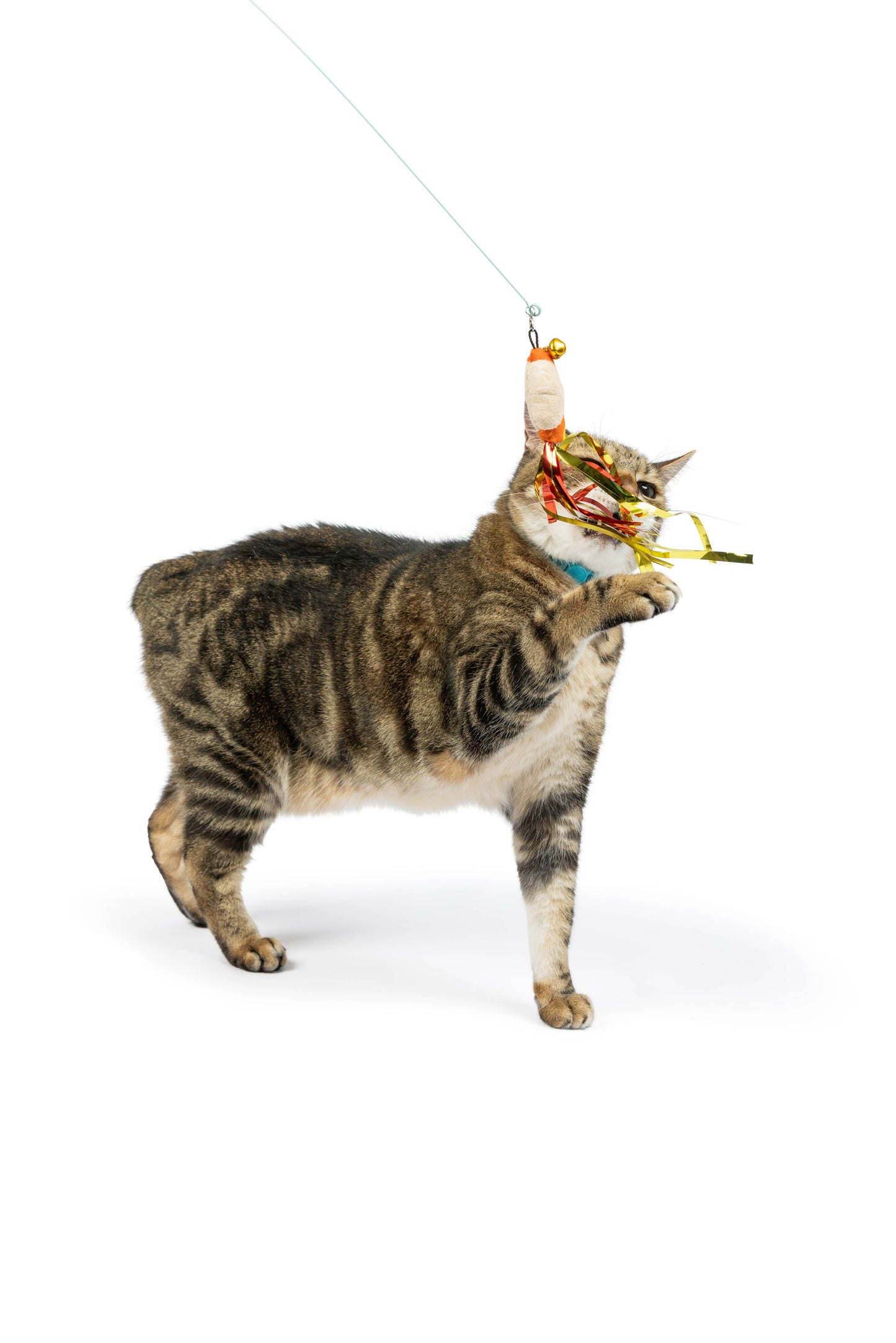 Snacky Teasers 3pk Refill Cat Toy