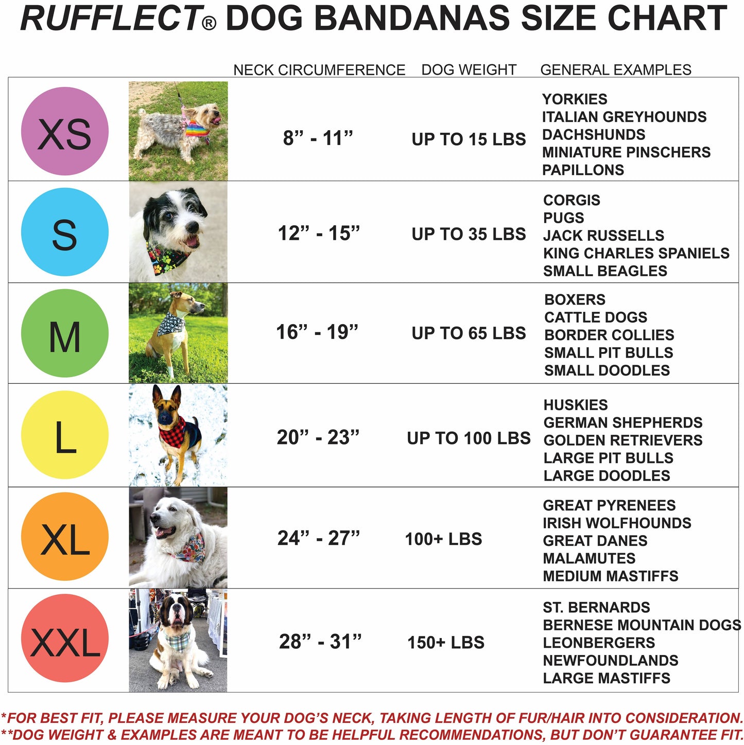 Lake Dog RUFFLECT® Dog Bandana