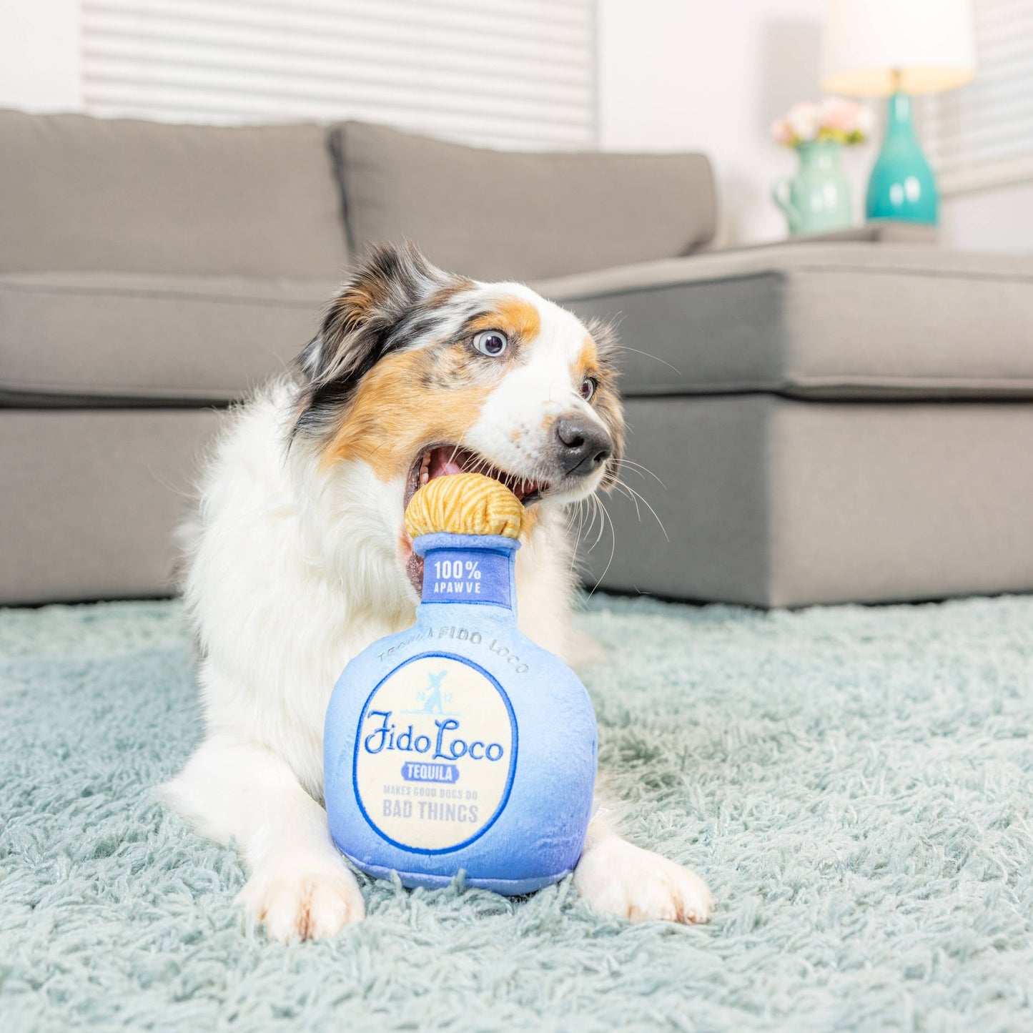 Fido Loco Tequila Dog Toy