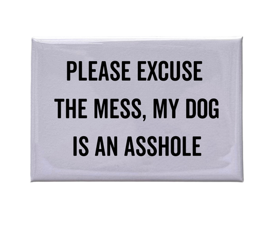 Please Excuse The Mess Magnet