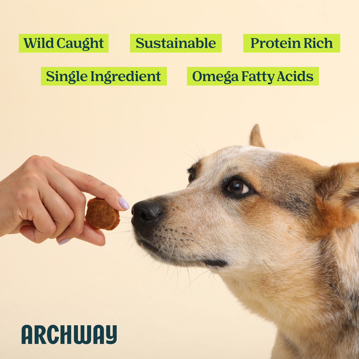 Single Ingredient Wild-Caught Fish Chip For Dogs