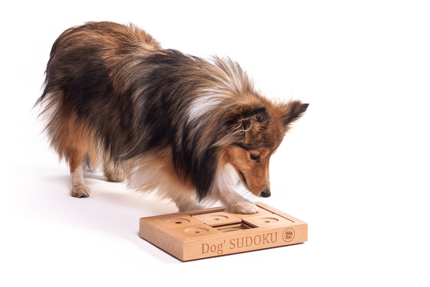 SUDOKU Small Advanced - dog and cat sudoku puzzle