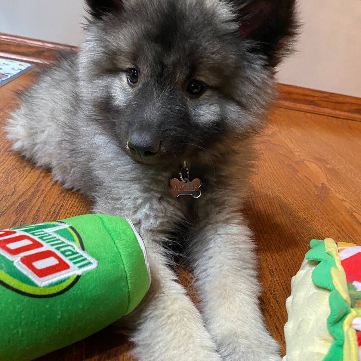 Mountain Poo Dog Toy