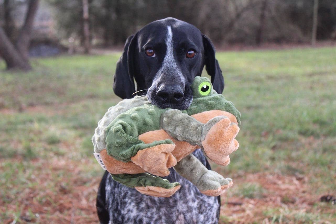 Tall Tails Animated Frog Dog Toy