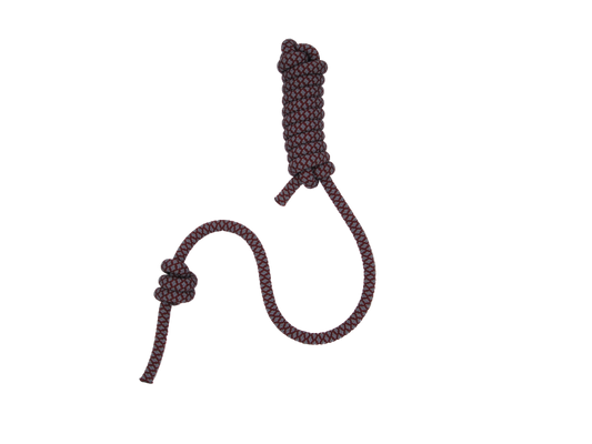 BIG DUMMY TRAINING - Recycled Climbing Rope - Random Color
