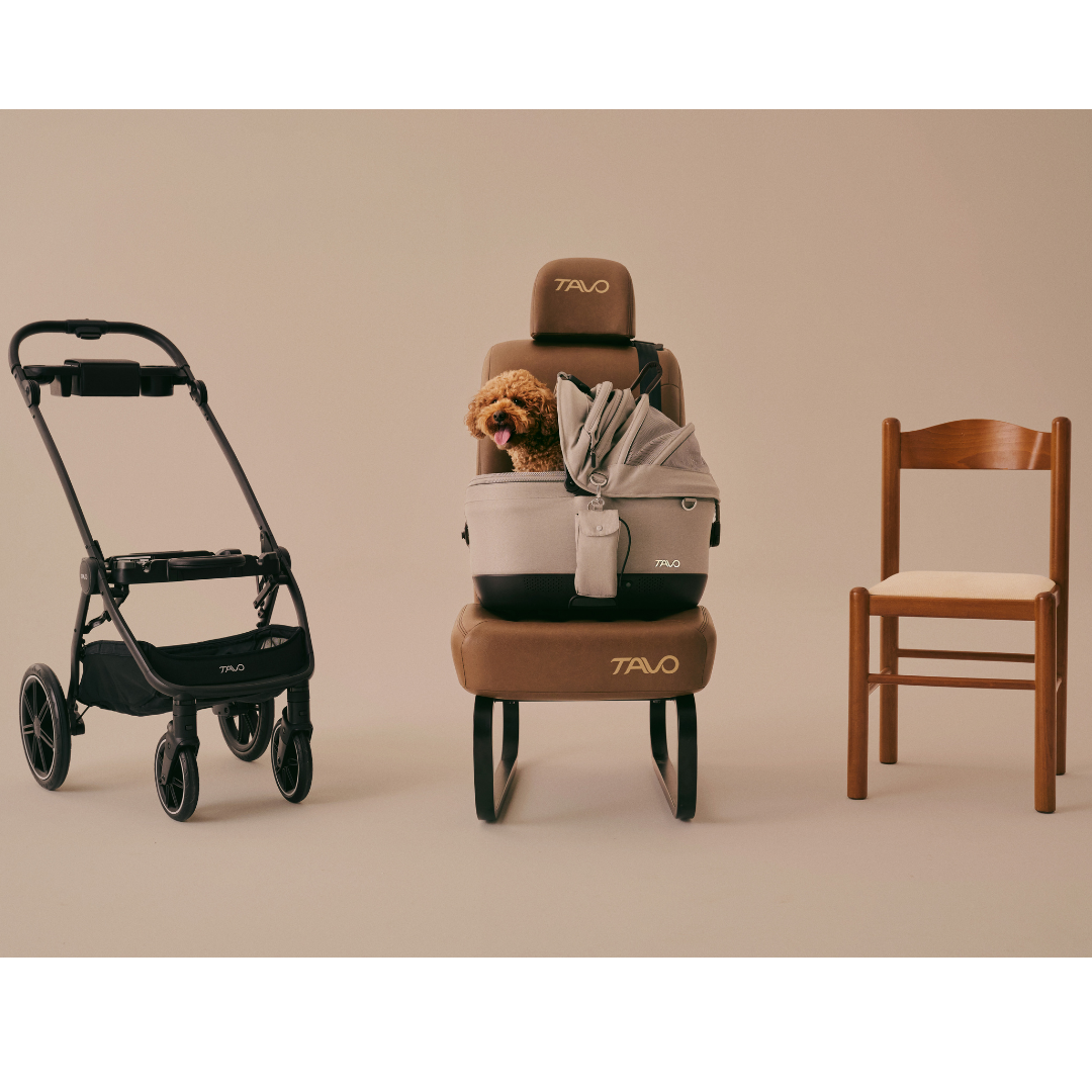 Tavo Maeve™  iso Wind + Roscoe Trek Stroller