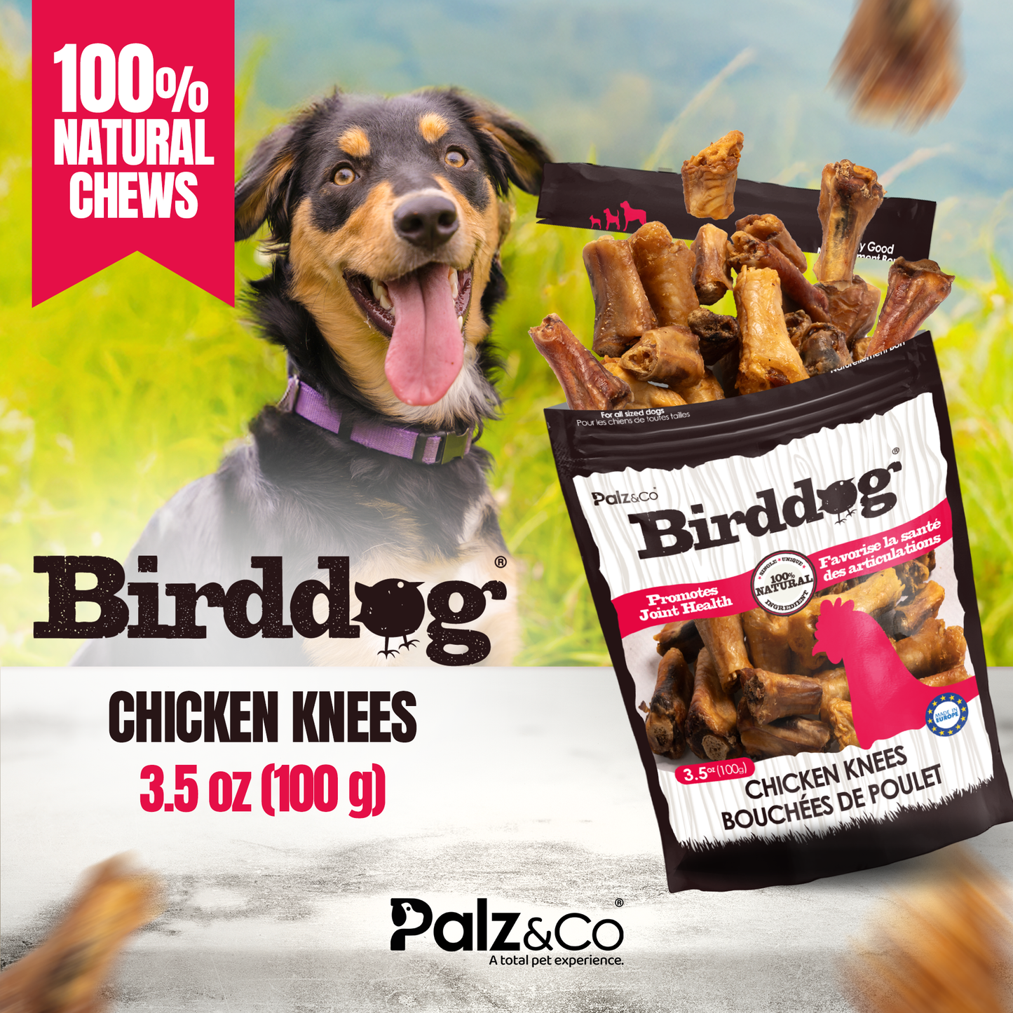 Birddog Chicken Necks - 3.5 oz (100g)