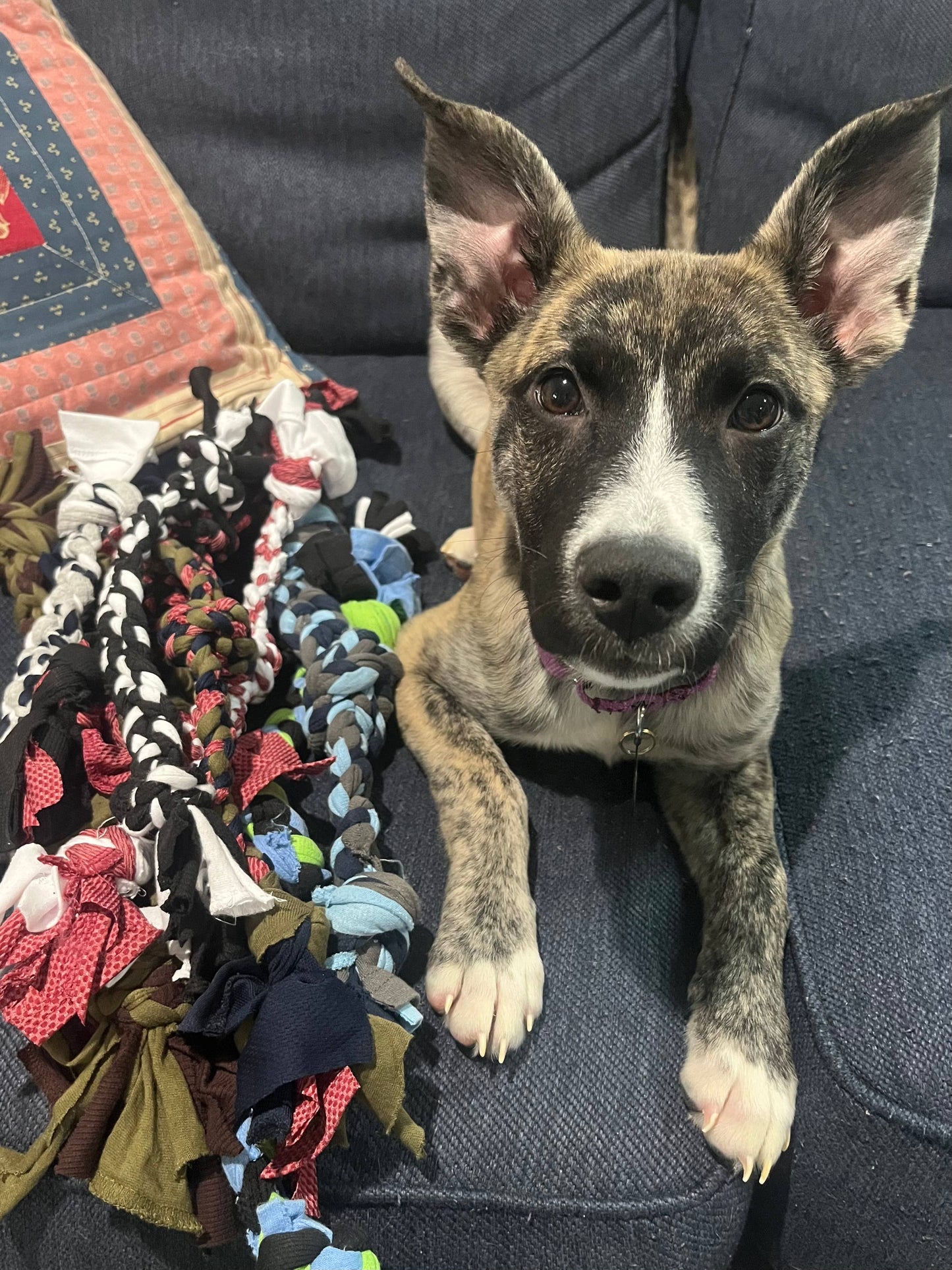 Upcycled Dog Tug Toys