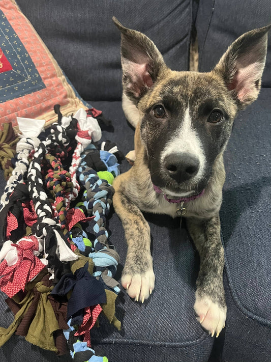 Upcycled Dog Tug Toys
